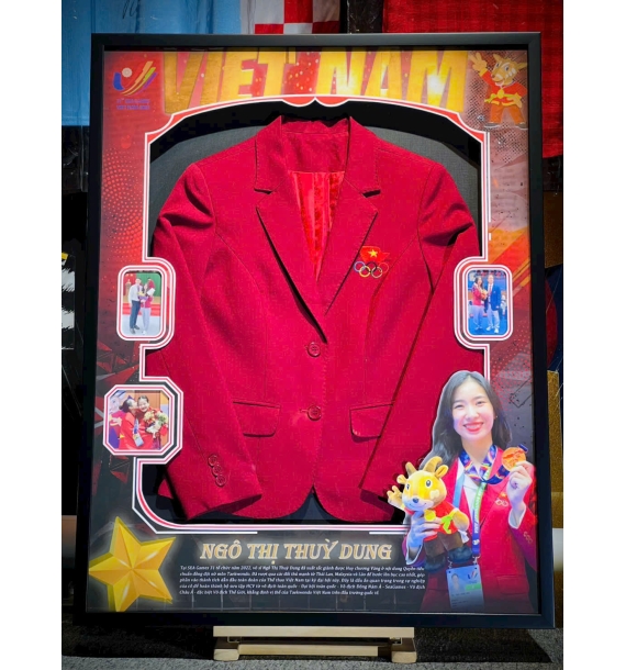 Khung áo đấu cấp độ cao cấp