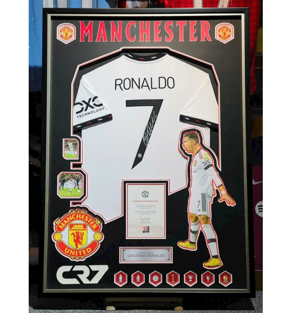 Khung áo đấu cấp độ cao cấp